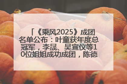 《乘风2025》成团名单公布：叶童获年度总冠军，李晟、吴宣仪等10位姐姐成功成团，陈德容获年度高光人物