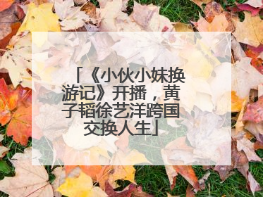 《小伙小妹换游记》开播，黄子韬徐艺洋跨国交换人生