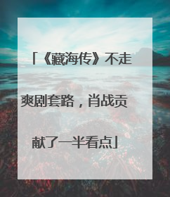 《藏海传》不走爽剧套路，肖战贡献了一半看点