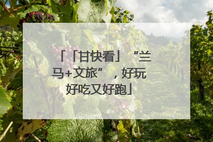 「甘快看」“兰马+文旅”，好玩好吃又好跑