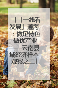「一线看发展」通海：做足特色 做优产业——云南县域经济样本观察之二
