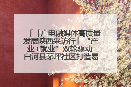 「广电融媒体高质量发展陕西采访行」“产业+就业”双轮驱动 白河县茅坪社区打造易地搬迁后扶新样本