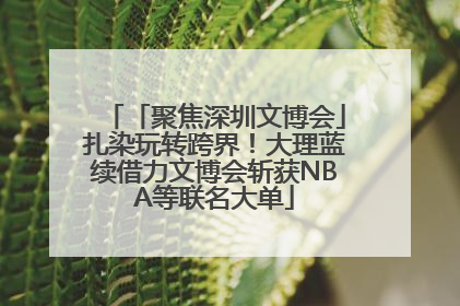 「聚焦深圳文博会」扎染玩转跨界！大理蓝续借力文博会斩获NBA等联名大单