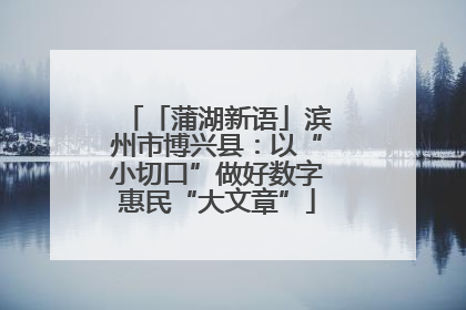 「蒲湖新语」滨州市博兴县：以“小切口”做好数字惠民“大文章”