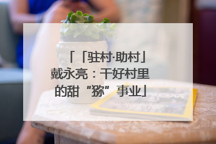 「驻村·助村」戴永亮：干好村里的甜“猕”事业