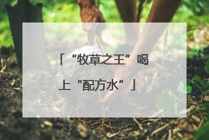 “牧草之王”喝上“配方水”