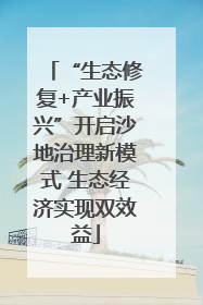 “生态修复+产业振兴”开启沙地治理新模式 生态经济实现双效益