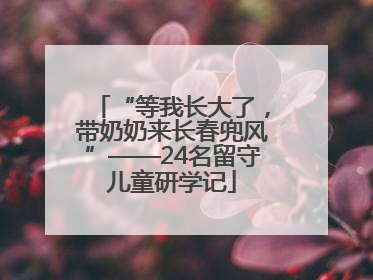 “等我长大了，带奶奶来长春兜风”——24名留守儿童研学记