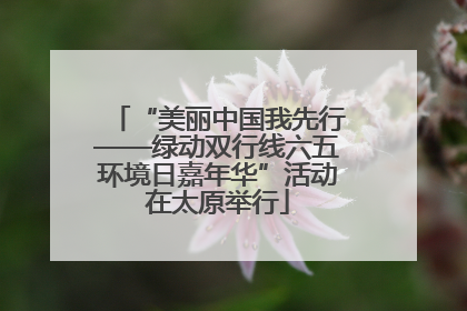 “美丽中国我先行——绿动双行线六五环境日嘉年华”活动在太原举行