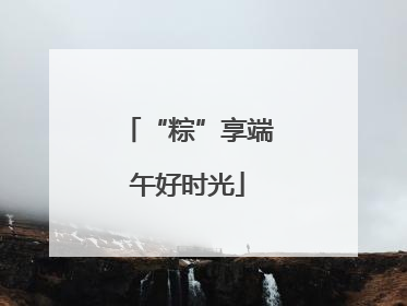 “粽”享端午好时光