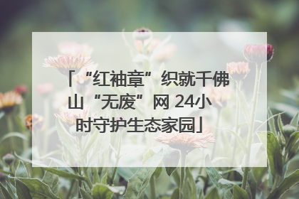 “红袖章”织就千佛山“无废”网 24小时守护生态家园