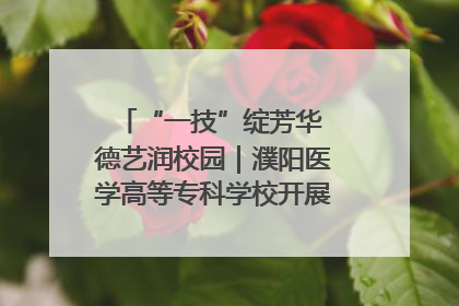 “一技”绽芳华 德艺润校园｜濮阳医学高等专科学校开展丰富多彩的职业教育活动周主题活动