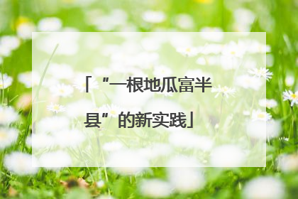 “一根地瓜富半县”的新实践
