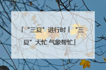 “三夏”进行时丨“三夏”大忙 气象帮忙