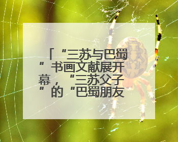 “三苏与巴蜀”书画文献展开幕，“三苏父子”的“巴蜀朋友圈”人物亮相