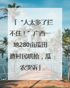 “人太多了拦不住！”广西一地280亩瓜田遭村民哄抢，瓜农哭诉