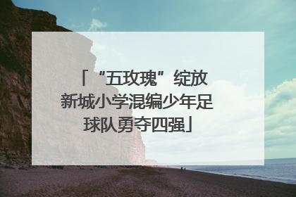 “五玫瑰”绽放 新城小学混编少年足球队勇夺四强