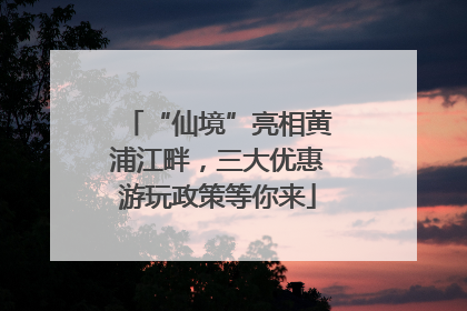 “仙境”亮相黄浦江畔，三大优惠游玩政策等你来