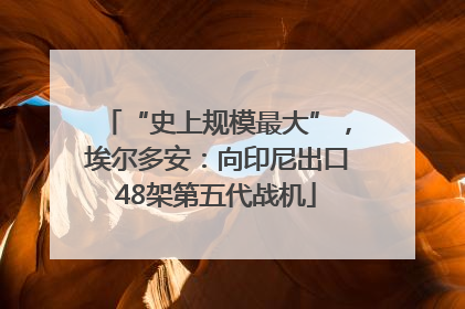 “史上规模最大”，埃尔多安：向印尼出口48架第五代战机