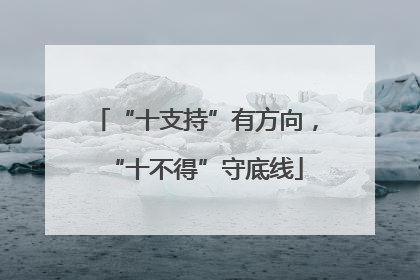 “十支持”有方向，“十不得”守底线