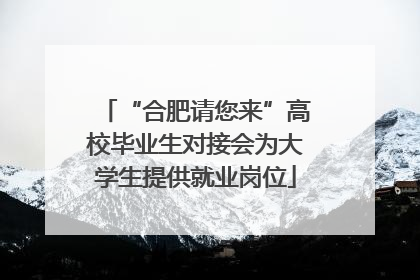 “合肥请您来”高校毕业生对接会为大学生提供就业岗位