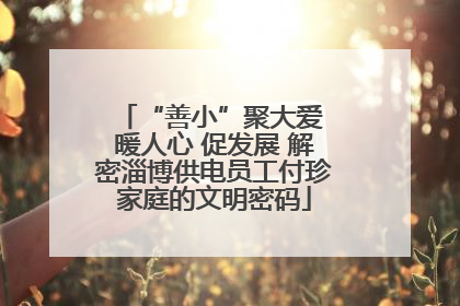 “善小”聚大爱 暖人心 促发展 解密淄博供电员工付珍家庭的文明密码