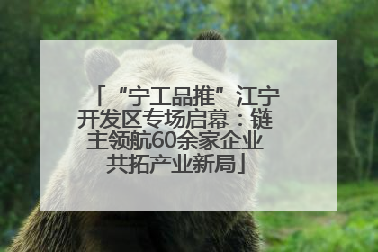“宁工品推”江宁开发区专场启幕：链主领航60余家企业共拓产业新局