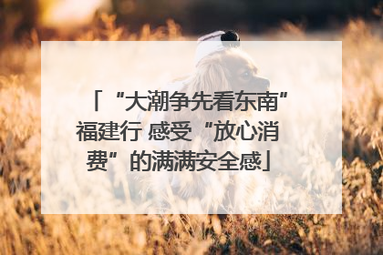 “大潮争先看东南”福建行 感受“放心消费”的满满安全感