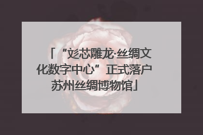 “彣芯雕龙·丝绸文化数字中心”正式落户苏州丝绸博物馆