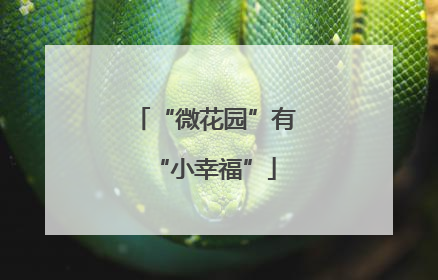 “微花园”有“小幸福”