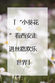 “小葵花”看西安走进丝路欢乐世界