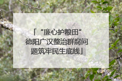 “廉心护粮田” 德阳广汉整治群腐问题筑牢民生底线