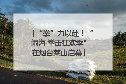“拳”力以赴！“闹海·拳击狂欢季”在烟台莱山启幕