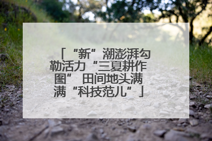 “新”潮澎湃勾勒活力“三夏耕作图” 田间地头满满“科技范儿”