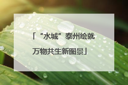 “水城”泰州绘就万物共生新图景