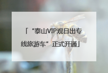 “泰山VIP观日出专线旅游车”正式开通