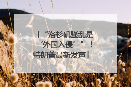 “洛杉矶骚乱是‘外国入侵’”！特朗普最新发声