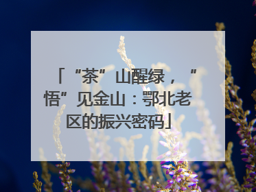 “茶”山醒绿，“悟”见金山：鄂北老区的振兴密码