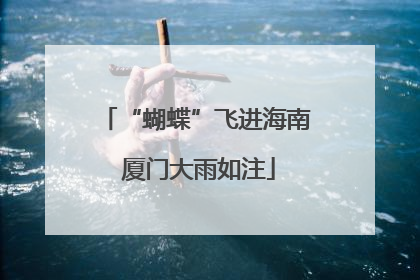 “蝴蝶”飞进海南 厦门大雨如注