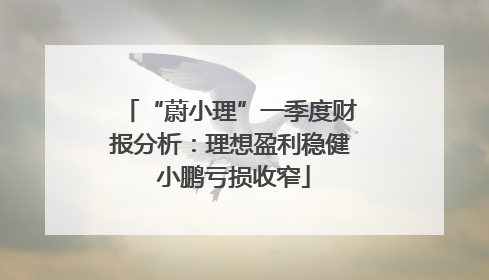 “蔚小理”一季度财报分析：理想盈利稳健 小鹏亏损收窄