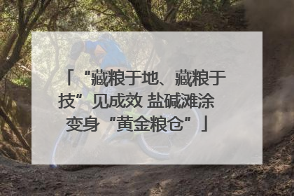 “藏粮于地、藏粮于技”见成效 盐碱滩涂变身“黄金粮仓”
