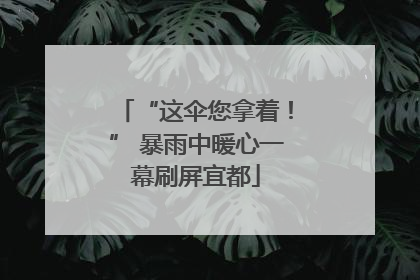 “这伞您拿着！” 暴雨中暖心一幕刷屏宜都