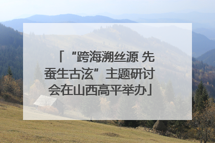 “跨海溯丝源 先蚕生古泫”主题研讨会在山西高平举办