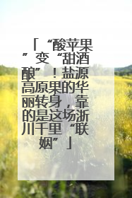 “酸苹果”变“甜酒酿”！盐源高原果的华丽转身，靠的是这场浙川千里“联姻”