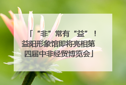 “非”常有“益”！益阳形象馆即将亮相第四届中非经贸博览会