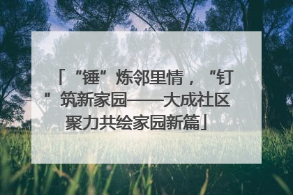 “锤”炼邻里情，“钉”筑新家园——大成社区聚力共绘家园新篇