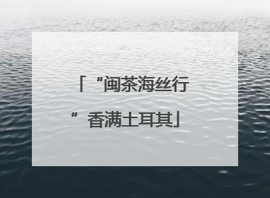 “闽茶海丝行”香满土耳其