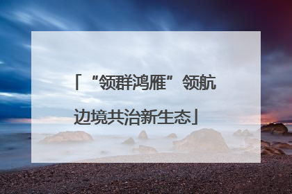 “领群鸿雁”领航边境共治新生态