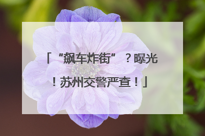 “飙车炸街”？曝光！苏州交警严查！