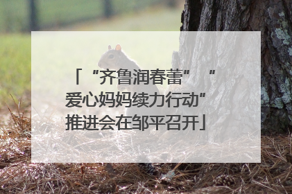 “齐鲁润春蕾”“爱心妈妈续力行动”推进会在邹平召开